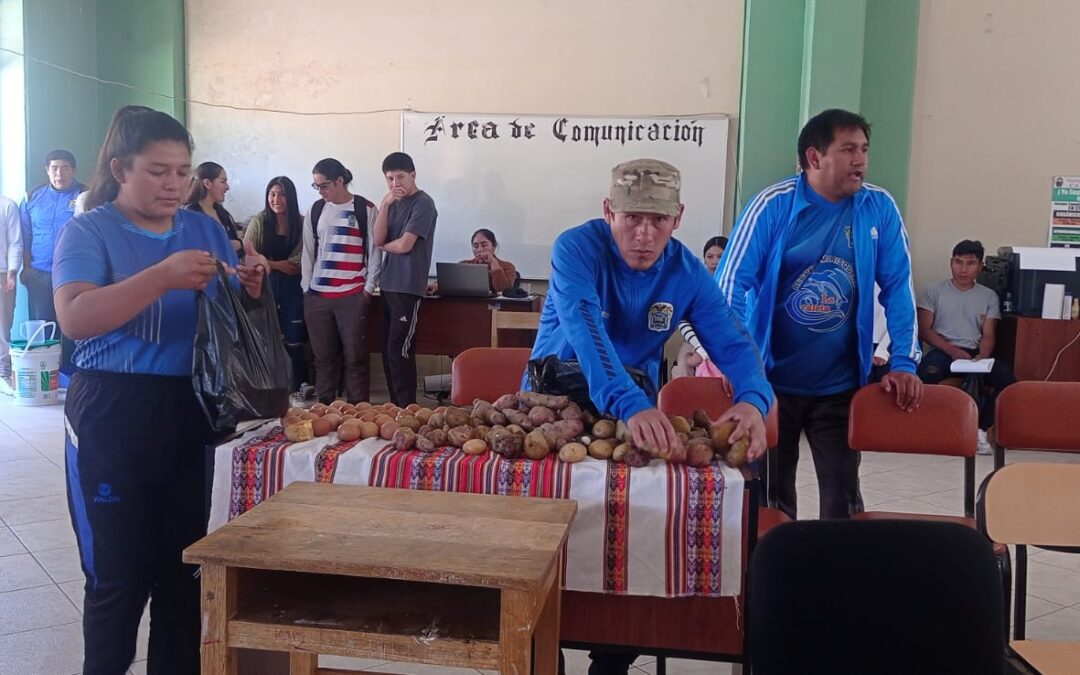 Último Día de Socialización para el Licenciamiento del IESPP Benigno Ayala Esquivel: Colaboración Estudiantil en Mastakuy