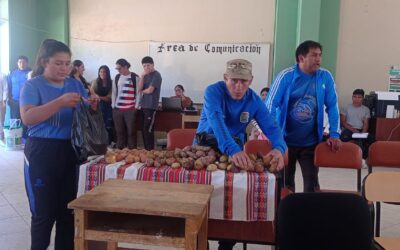 Último Día de Socialización para el Licenciamiento del IESPP Benigno Ayala Esquivel: Colaboración Estudiantil en Mastakuy